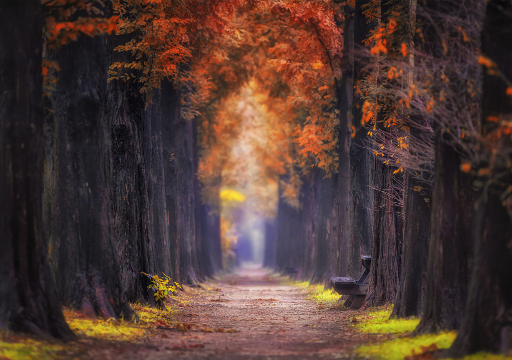 Slightly wet by Tiger Seo on 500px.com