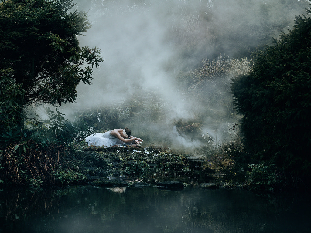 Swan Lake ii by Bella Kotak on 500px.com