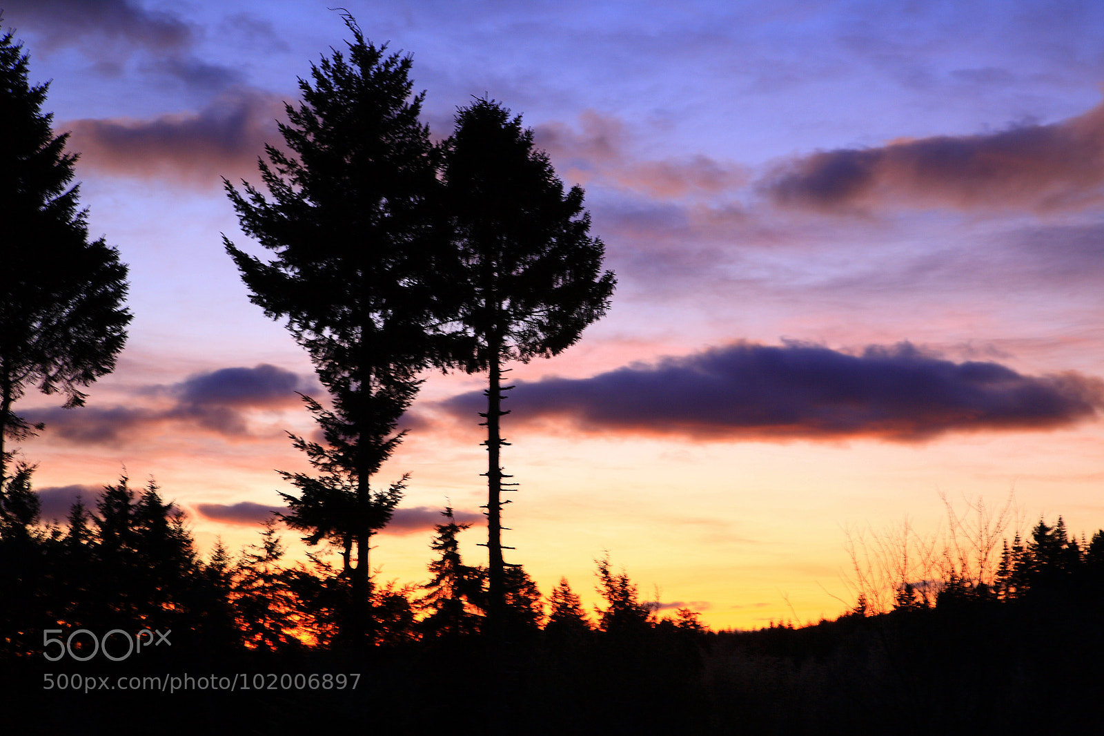 Canon EOS 5D sample photo. Untitled photography