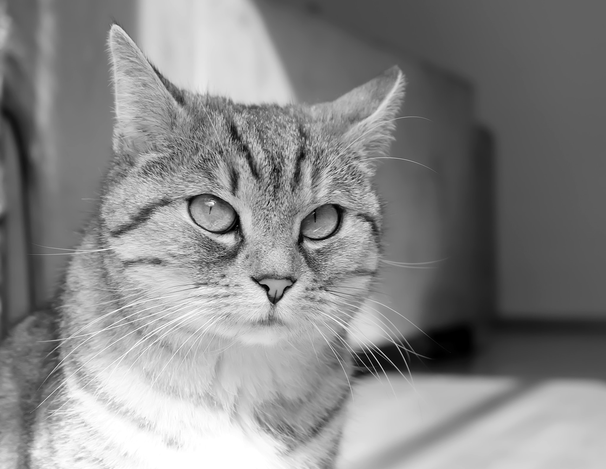 v2?sig=4d6dd021c6c4b5126782598fd392c4d6517198eef15fd57fe75e41fc21a8c210