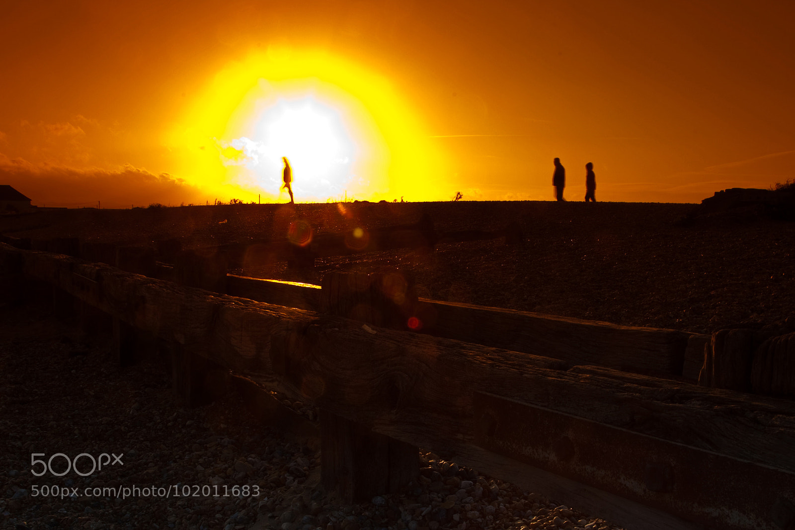 Canon EOS 5D Mark II sample photo. Untitled photography