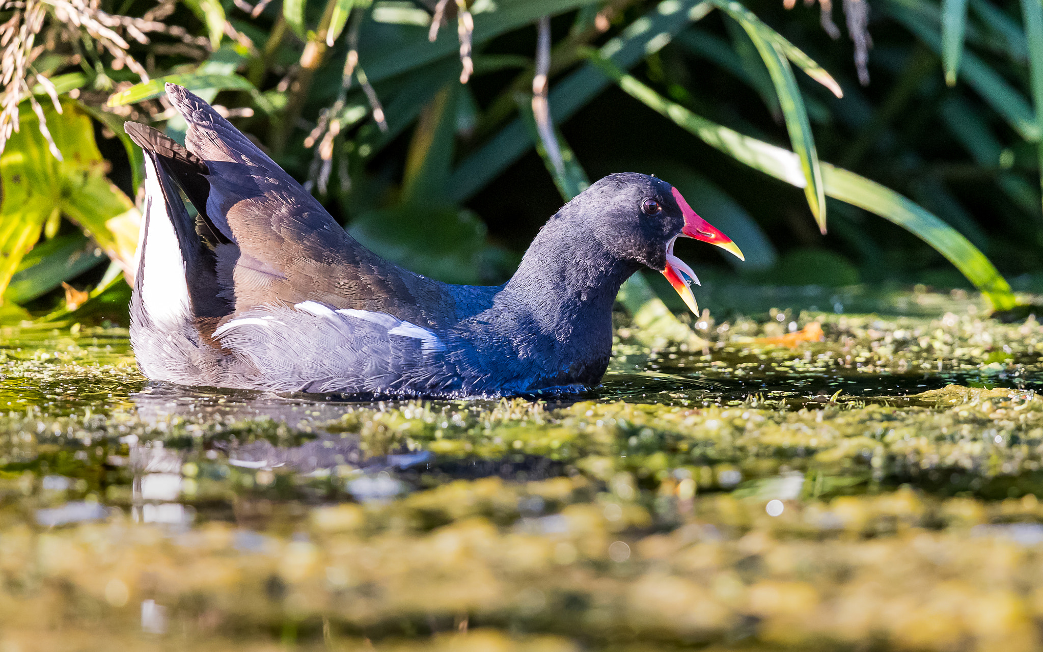 v2?sig=b024fff4e038c097ec1b3ae4a727b608b