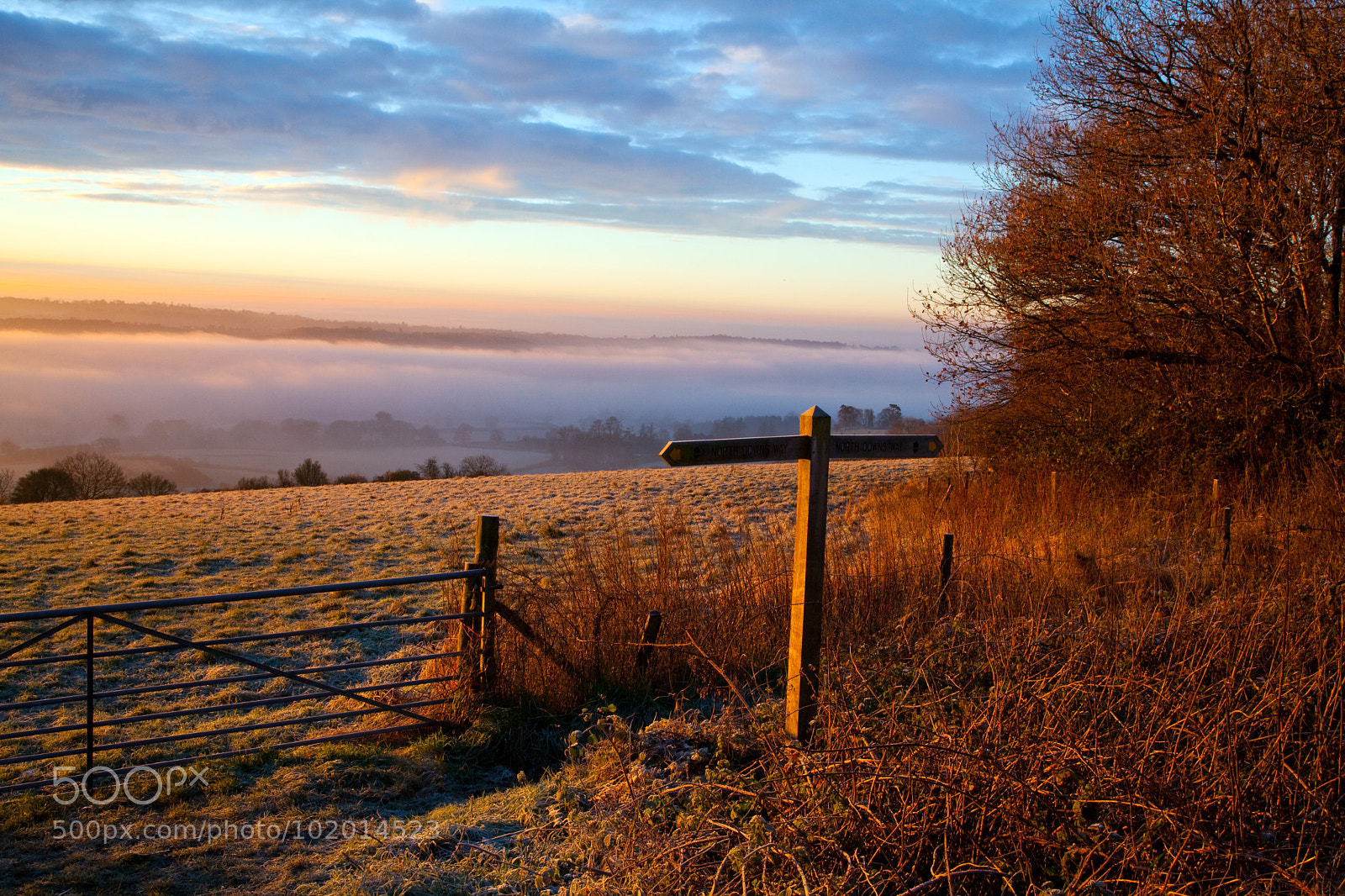 Canon EOS 5D Mark II sample photo. Untitled photography