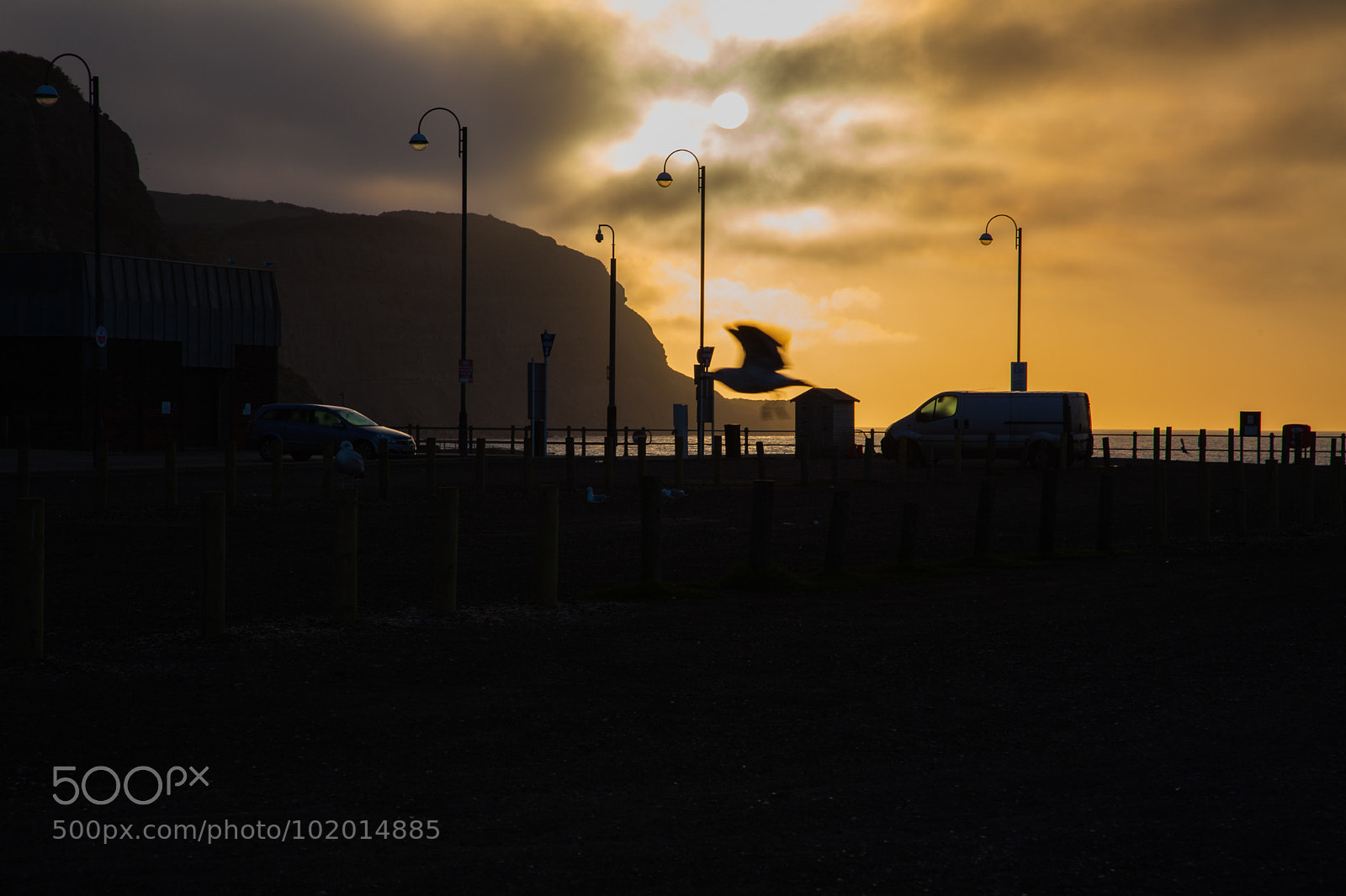 Canon EOS 5D Mark II sample photo. Untitled photography