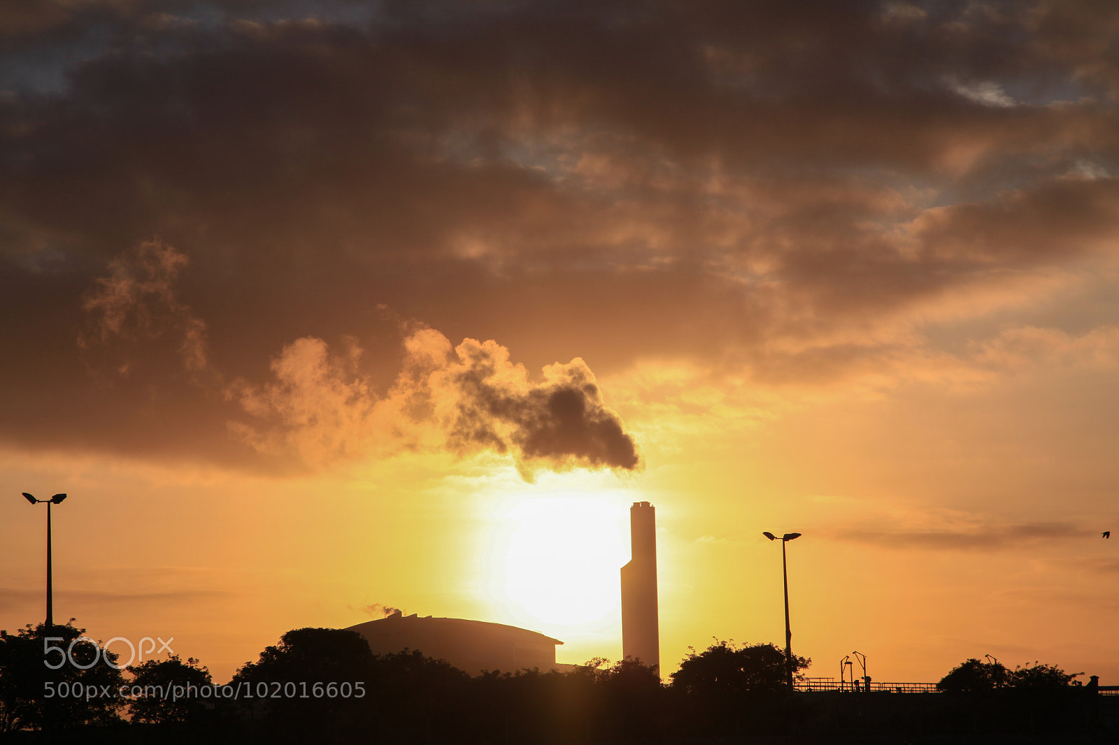 Canon EOS 5D Mark II sample photo. Untitled photography