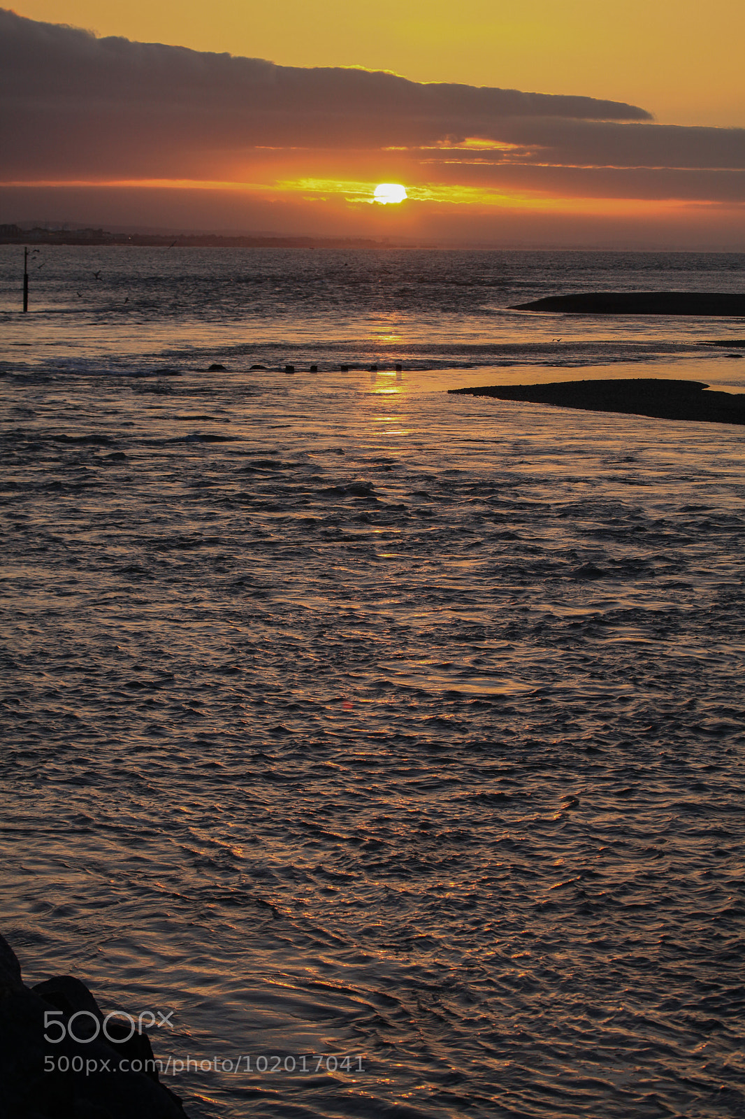 Canon EOS 5D Mark II sample photo. Untitled photography