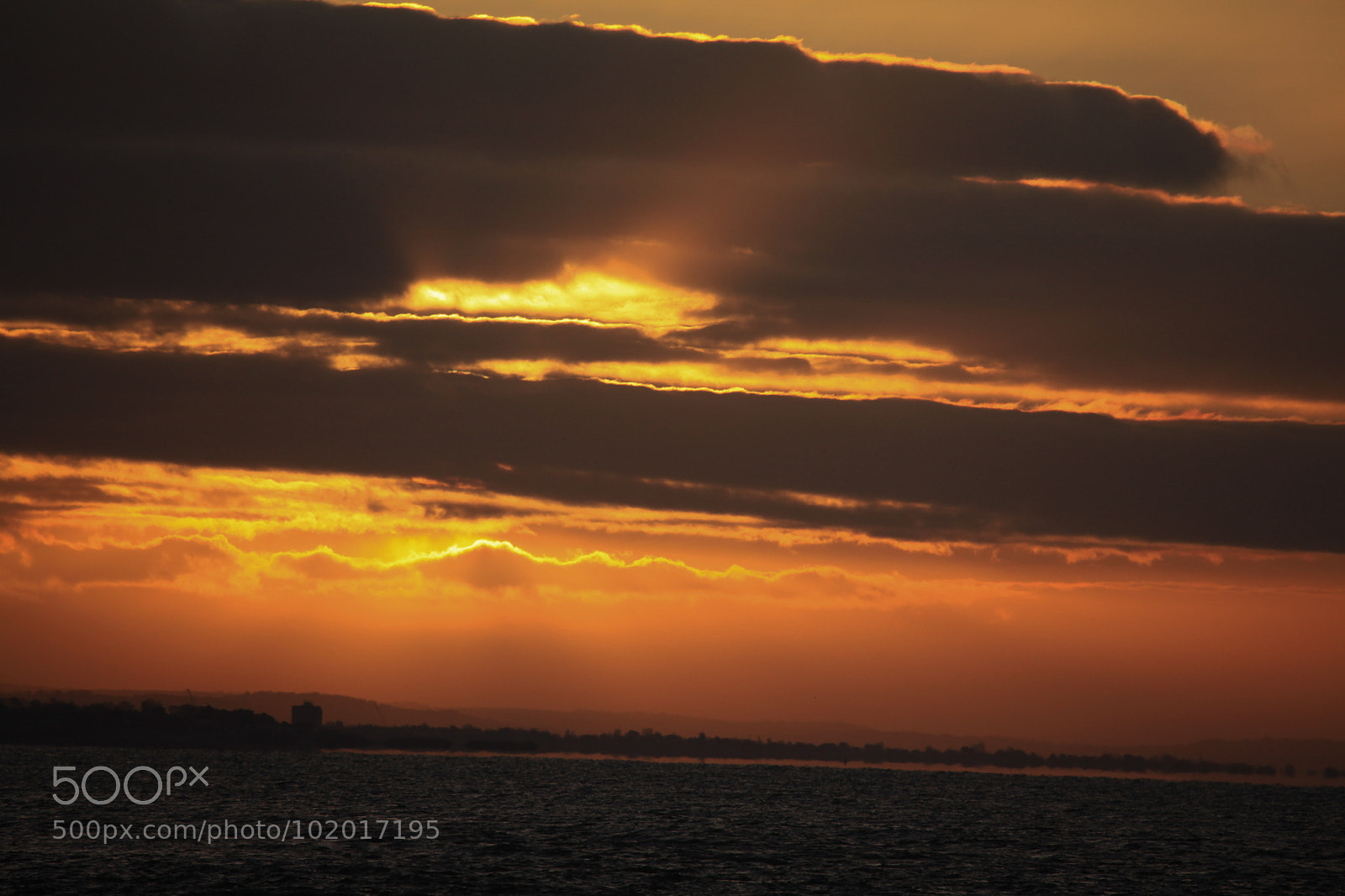 Canon EOS 5D Mark II sample photo. Untitled photography