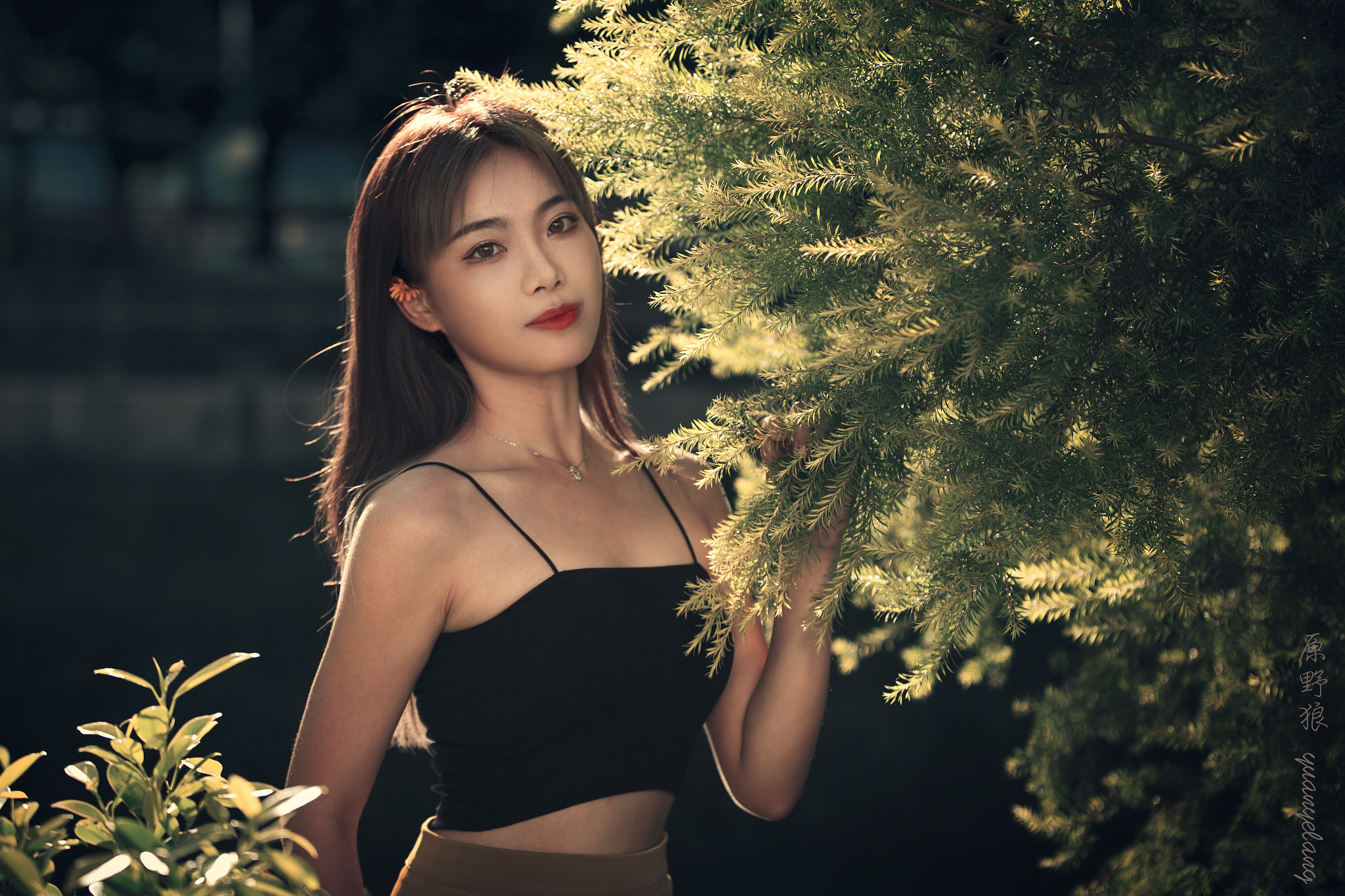 v2?sig=d0509f545c80b5f02b4e0e577e3210990