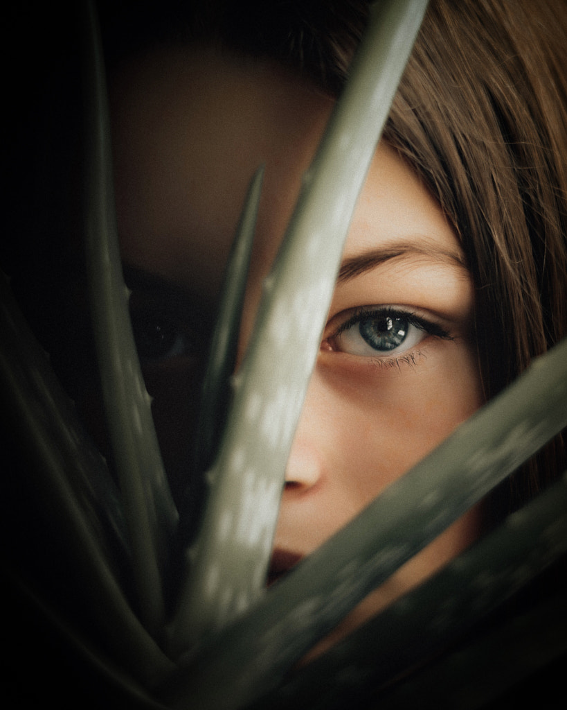 v2?sig=47644ada0774eebd5f2060ccb4f301e49