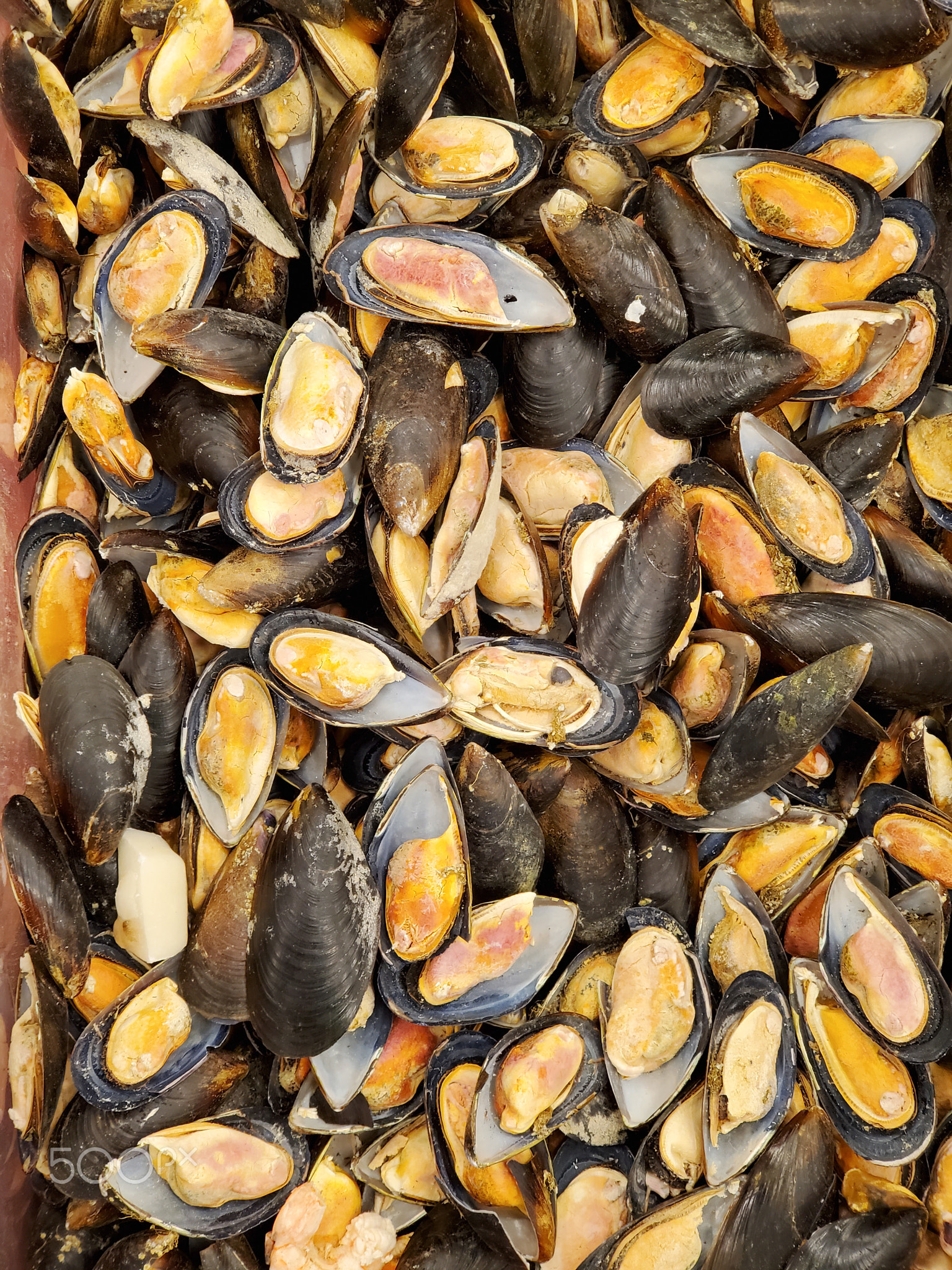 frozen mussels close-up. food texture background. Seafood