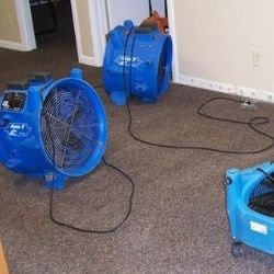 Best Water Damage Restoration Orlando