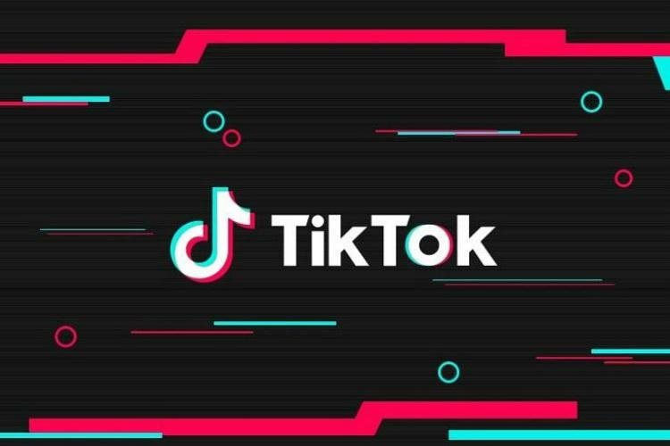 download video tiktok no id and watermark