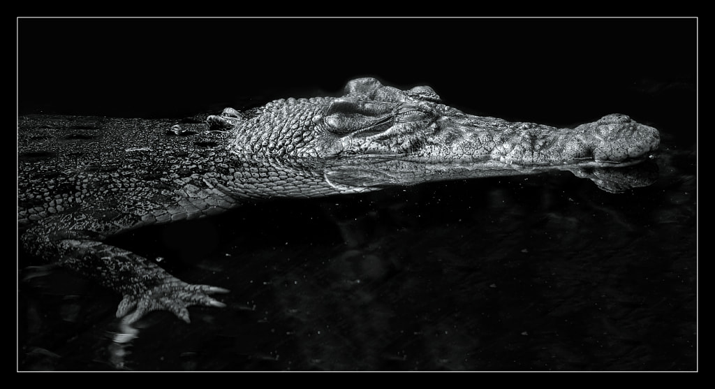 Freshwater by Justin B. on 500px.com