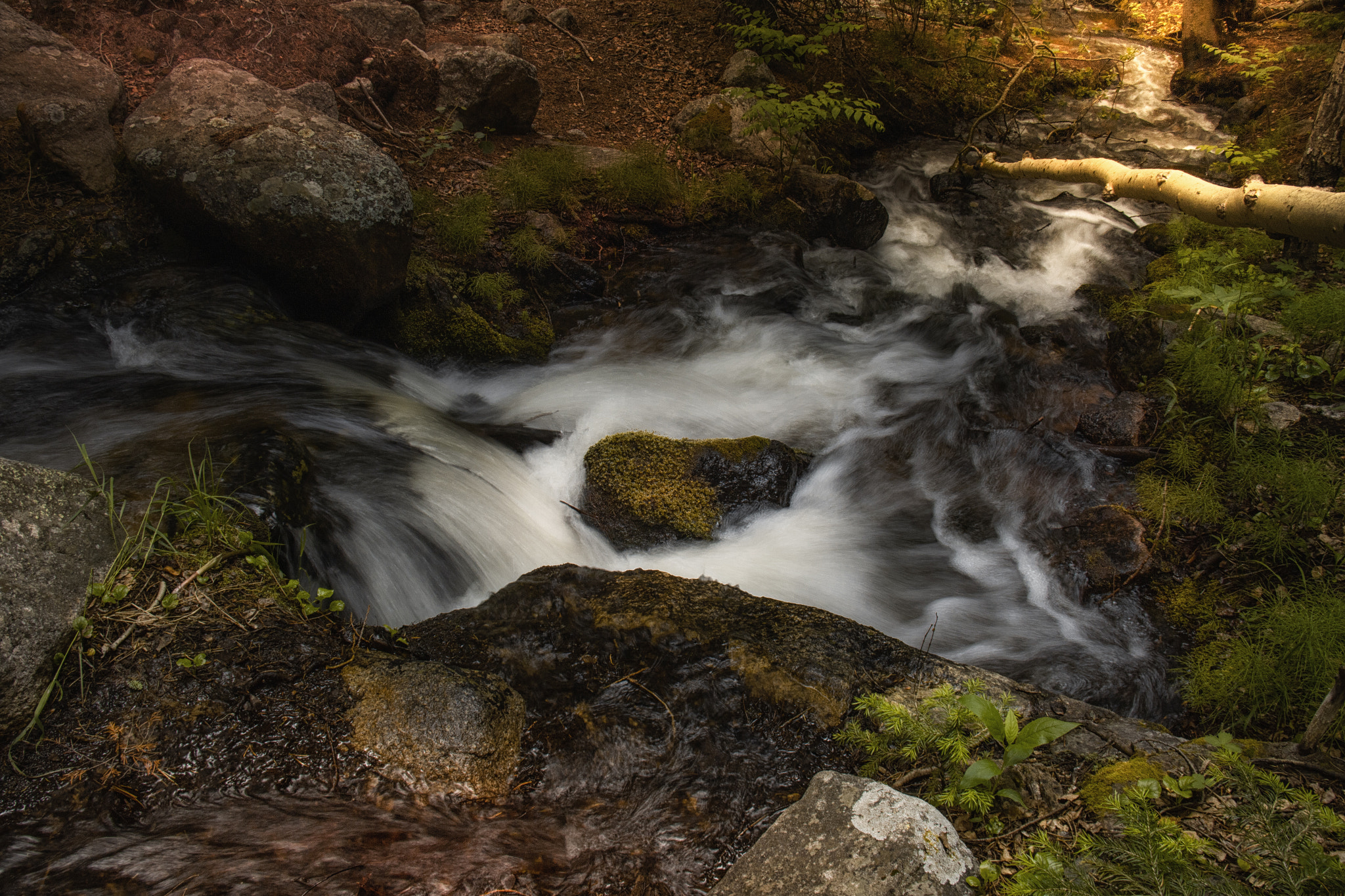 v2?sig=07460f619e4b0ad15312b3394fed0ad63a5ba6894b5ba9ff014f3a2a1f8e4ee1