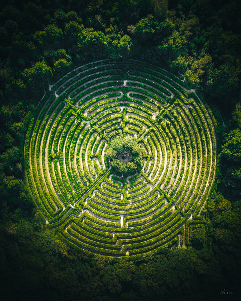 Thought path by Notseig  on 500px.com