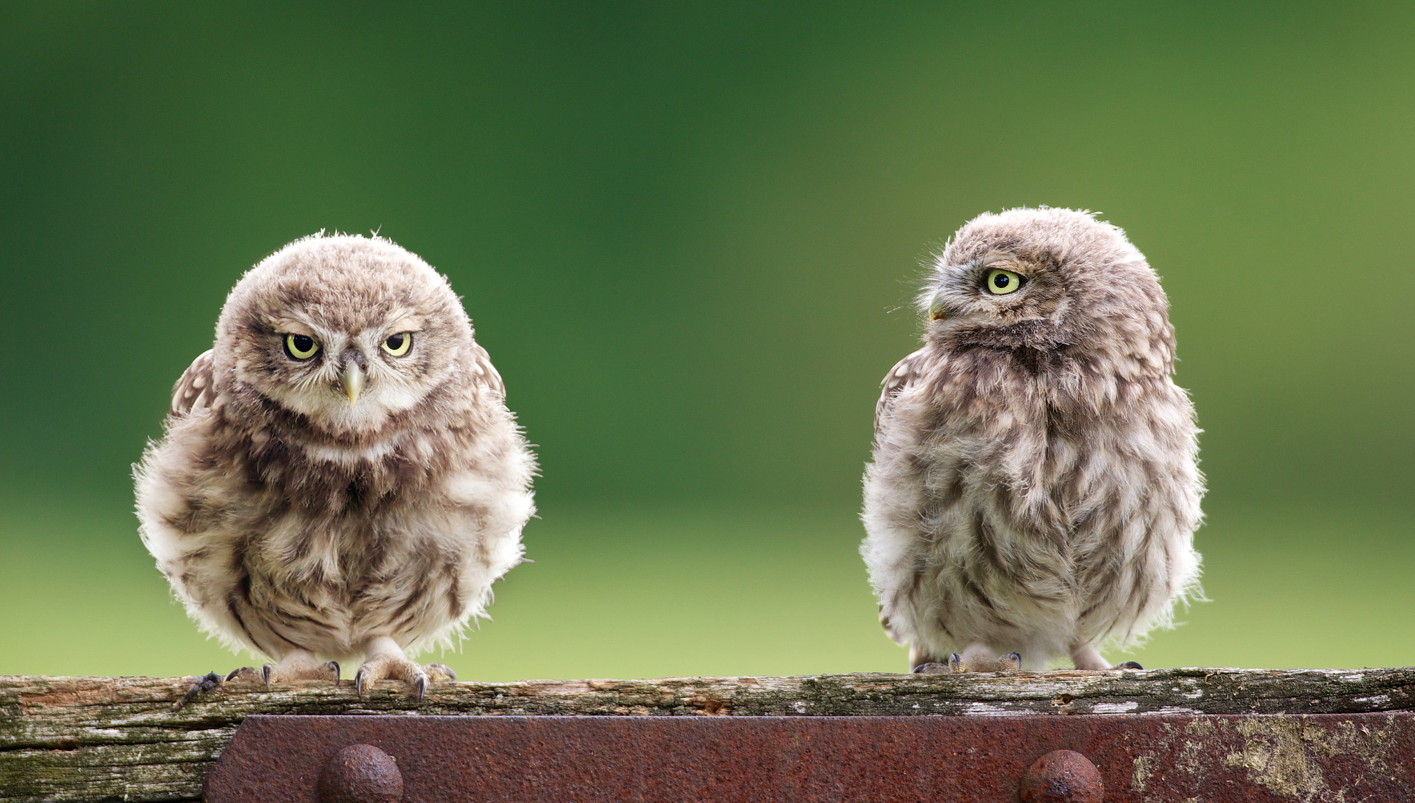 Mark Bridger Bridgephotography Profile 500px