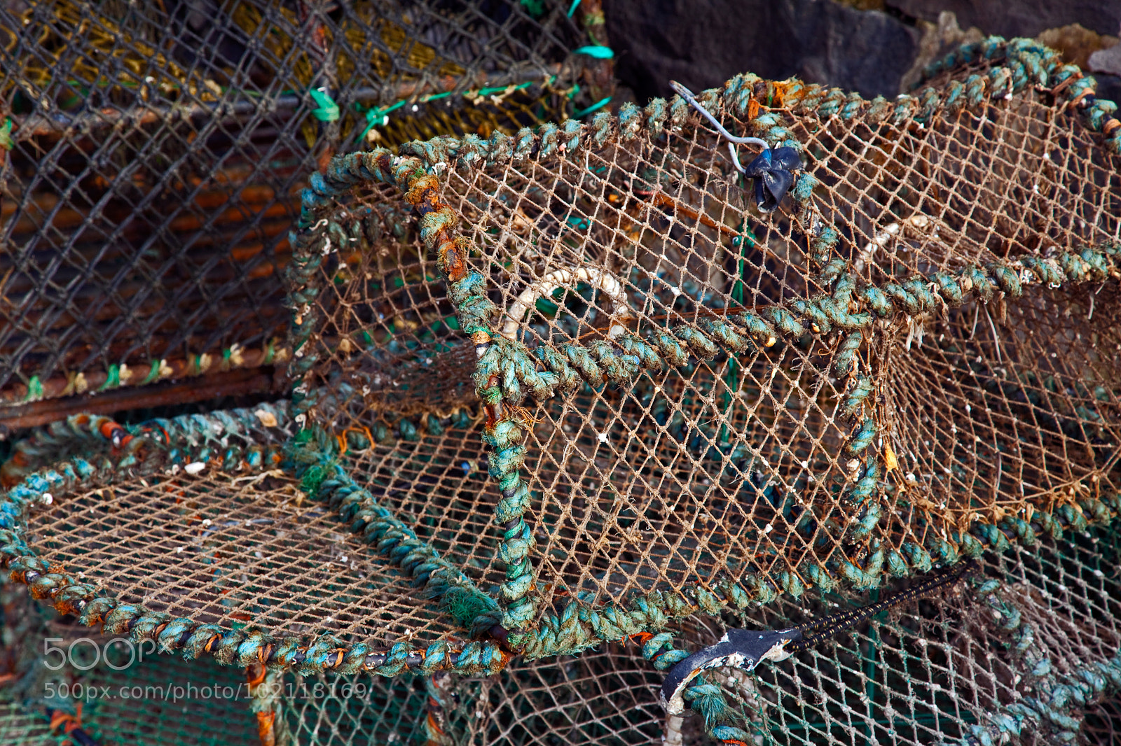 Canon EOS 5D Mark II sample photo. Untitled photography