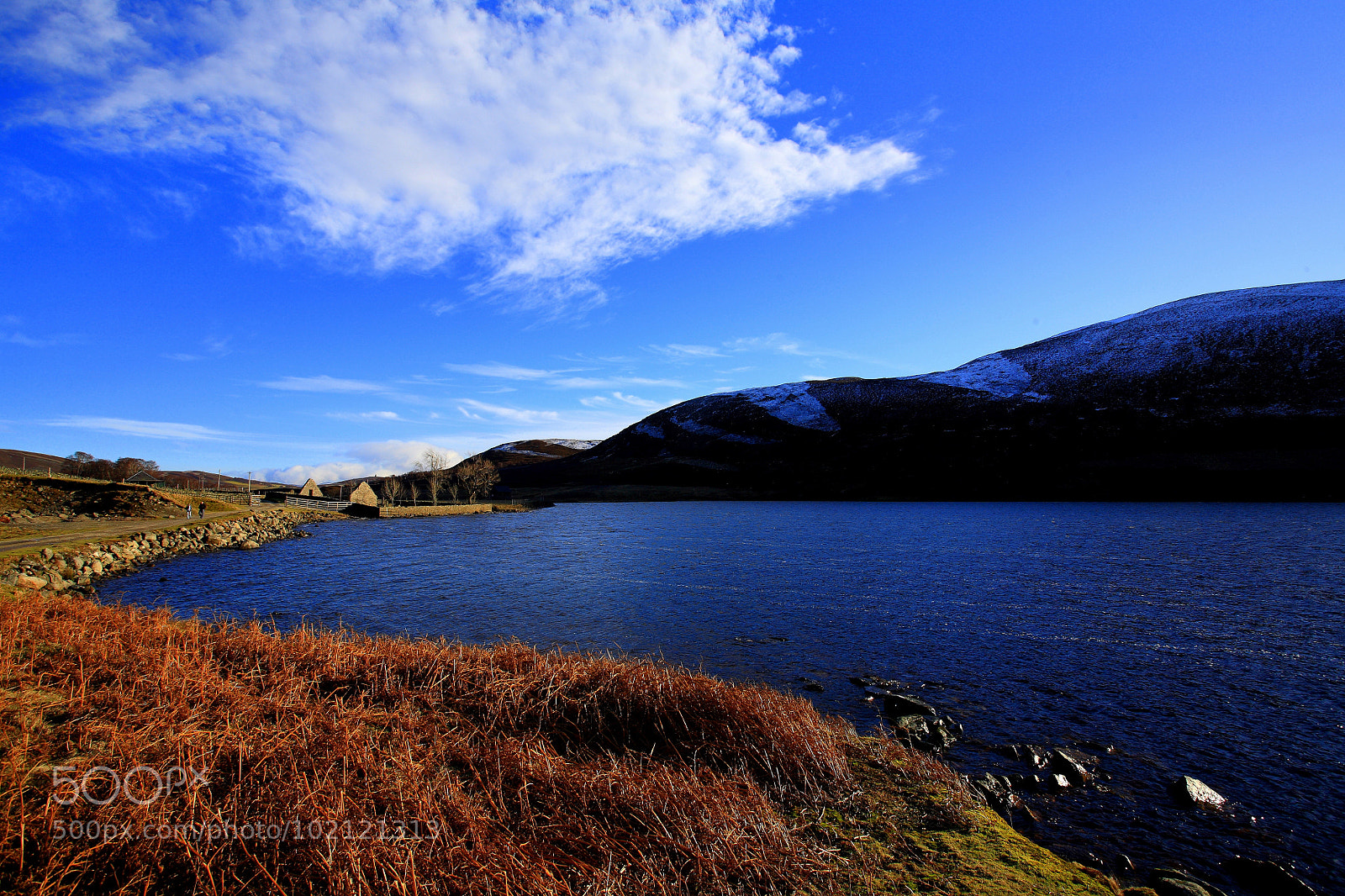 Canon EOS 5D sample photo. Untitled photography