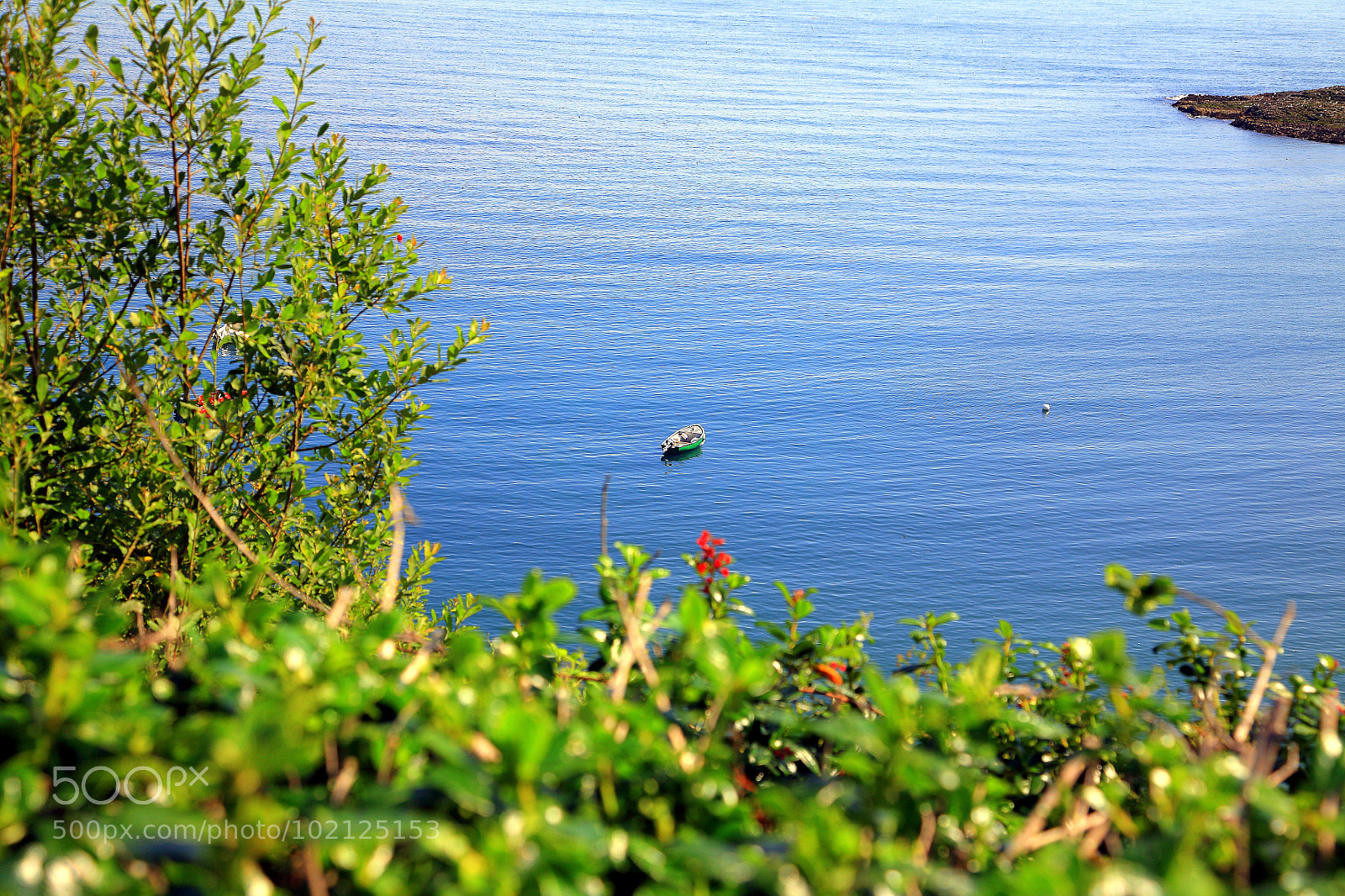 Canon EOS 5D sample photo. Untitled photography