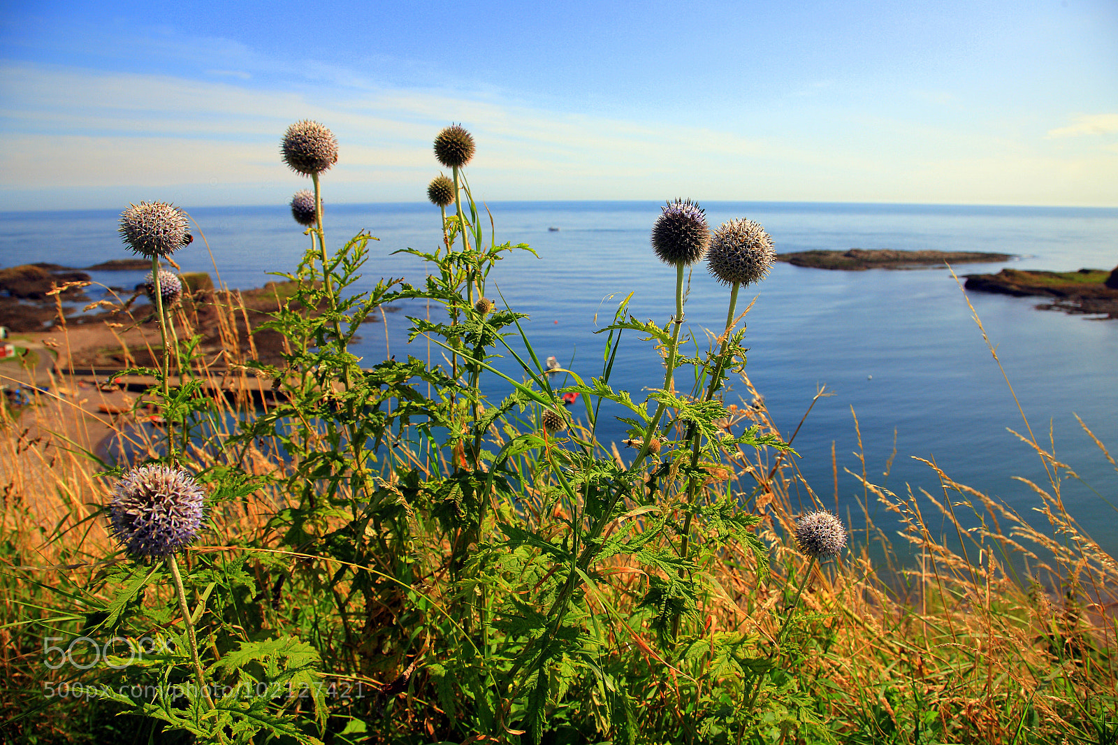 Canon EOS 5D sample photo. Untitled photography