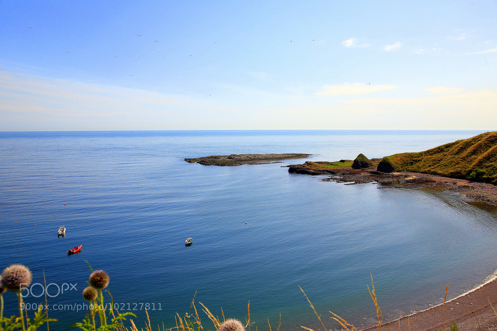 Canon EOS 5D sample photo. Untitled photography