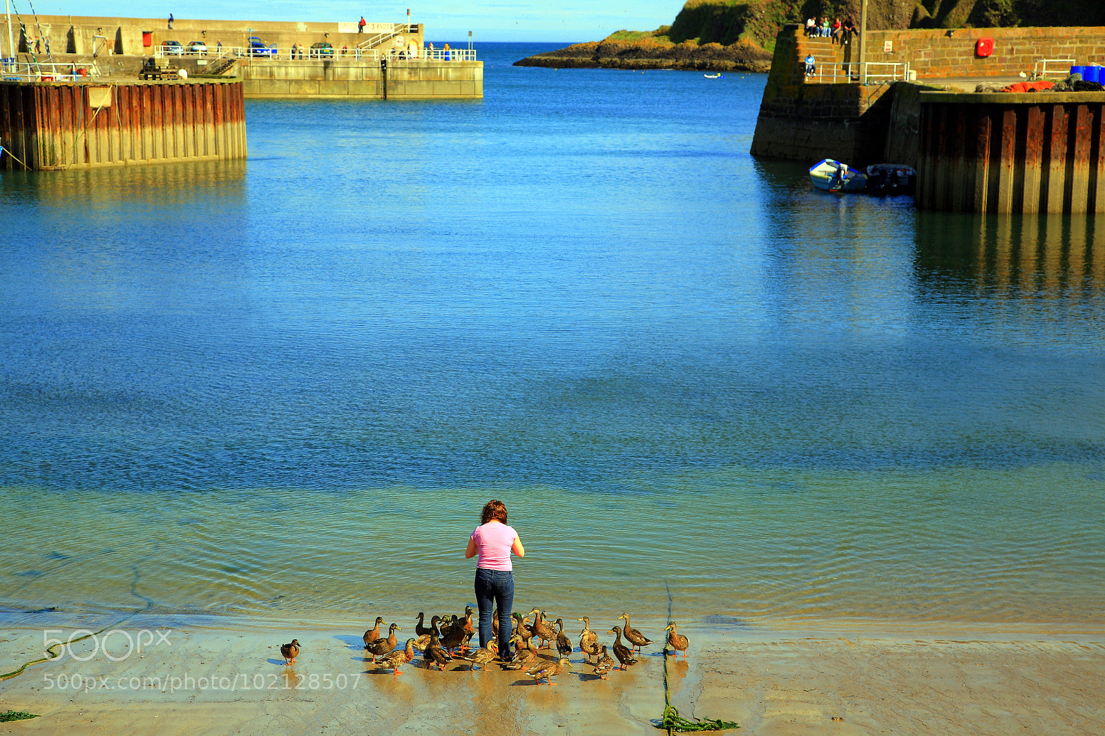 Canon EOS 5D sample photo. Untitled photography