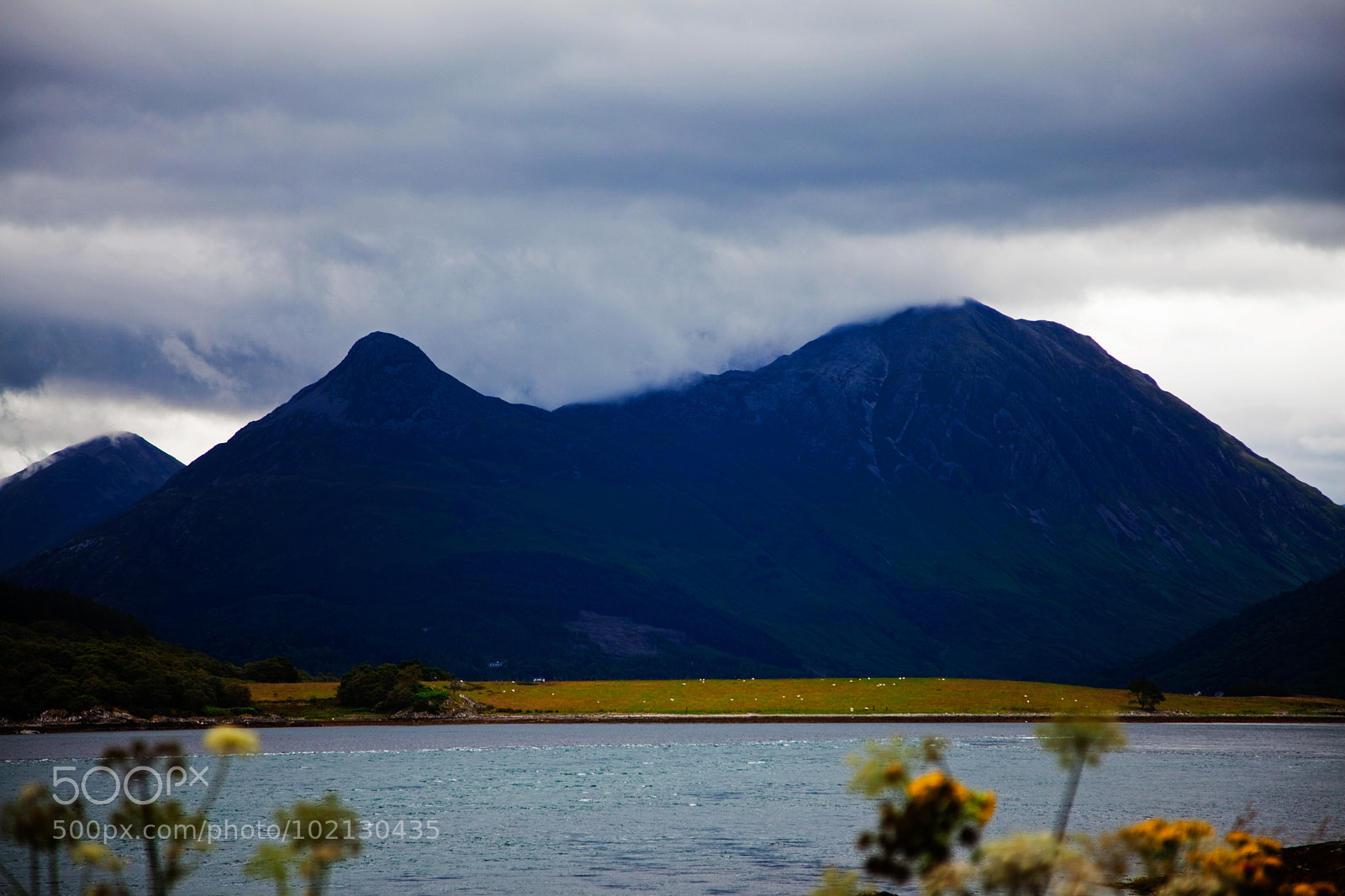 Canon EOS 5D Mark II sample photo. Untitled photography