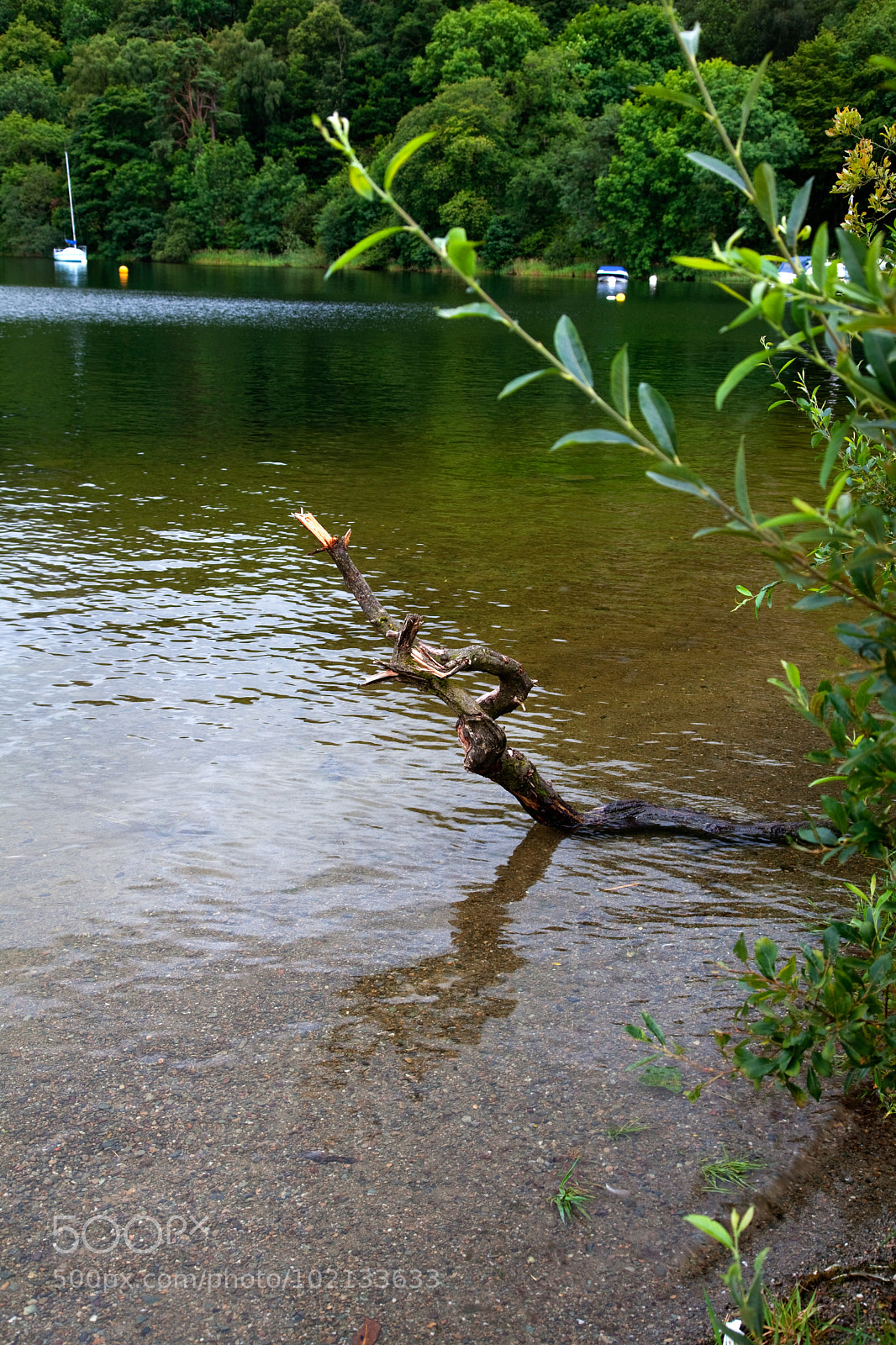 Canon EOS 5D Mark II sample photo. Untitled photography
