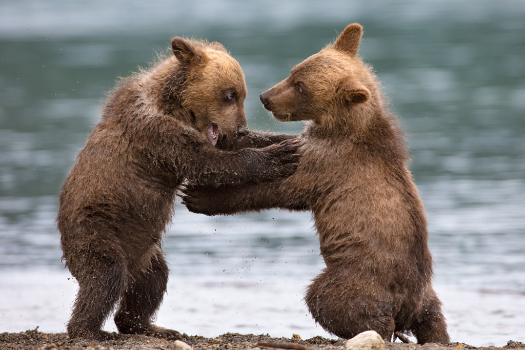 playing by Valerio Ferraro on 500px.com