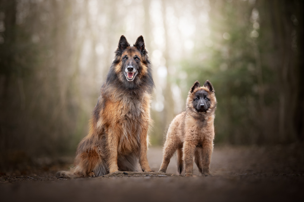 Ivy & Leni by Carmen Schwarz on 500px.com