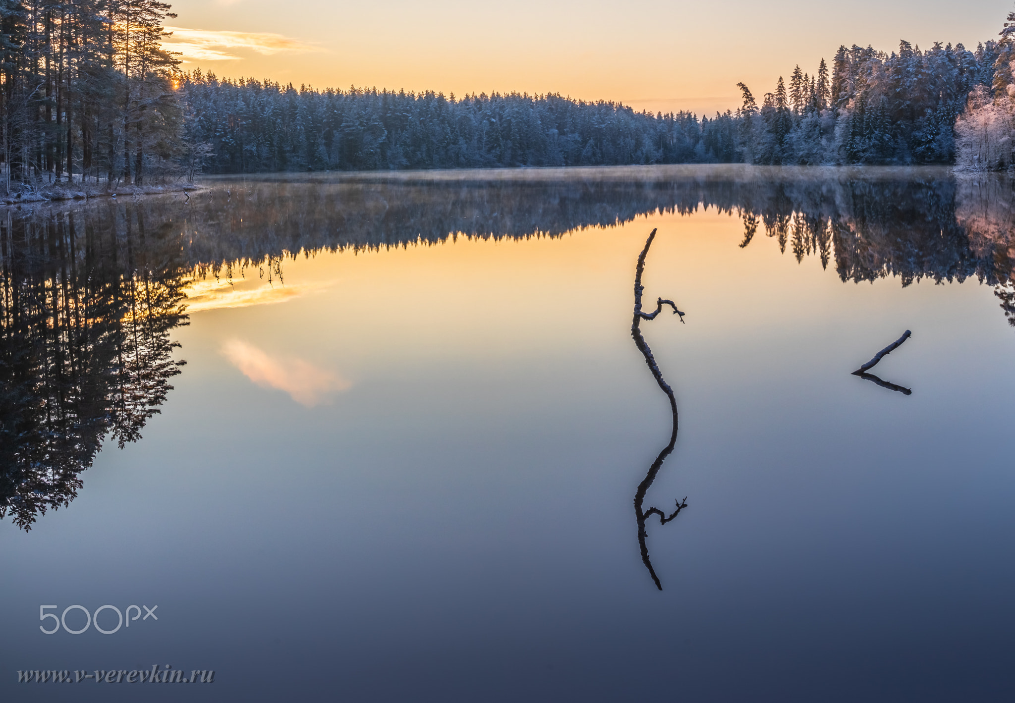Frosty morning on a forest lake. Panorama.