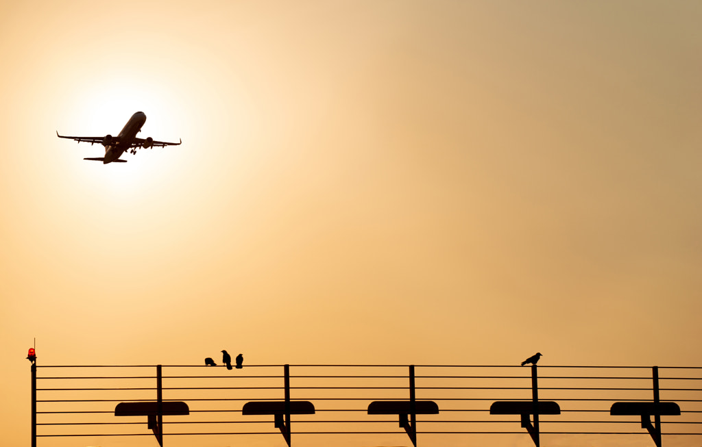 Sunset Airport Stuttgart by Peter König on 500px.com