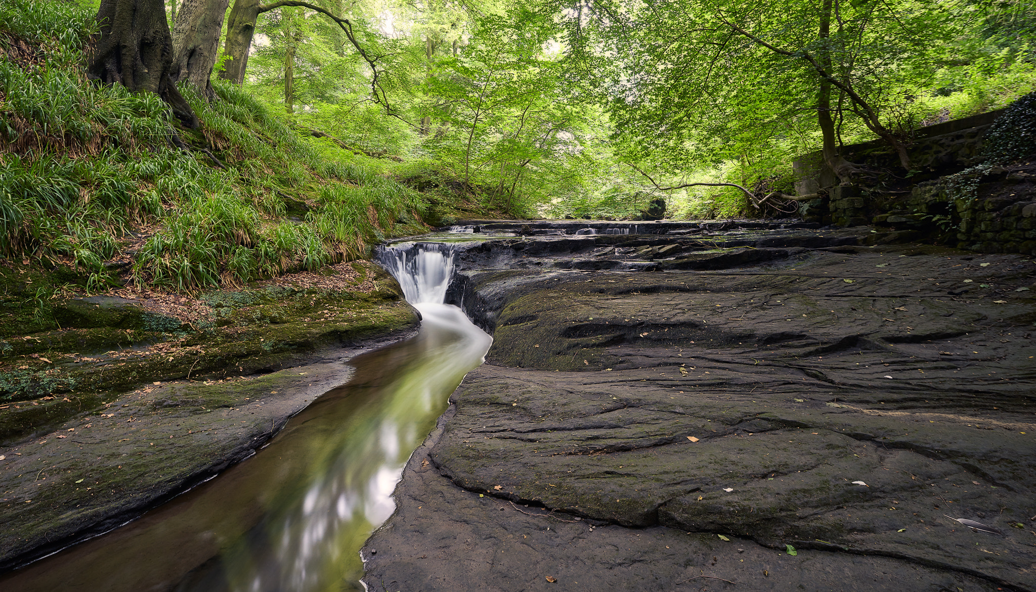 17mm F4 sample photo. Holywell dene photography