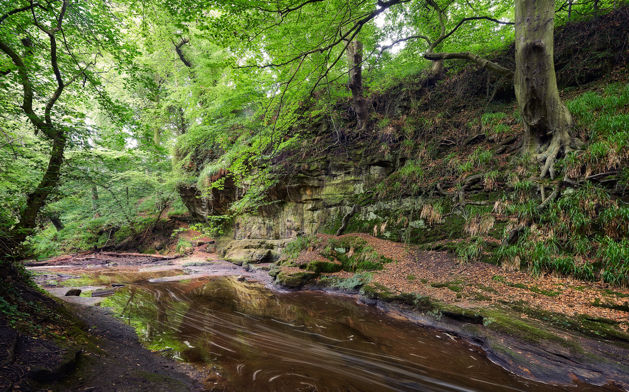 17mm F4 sample photo. The dolly duff photography