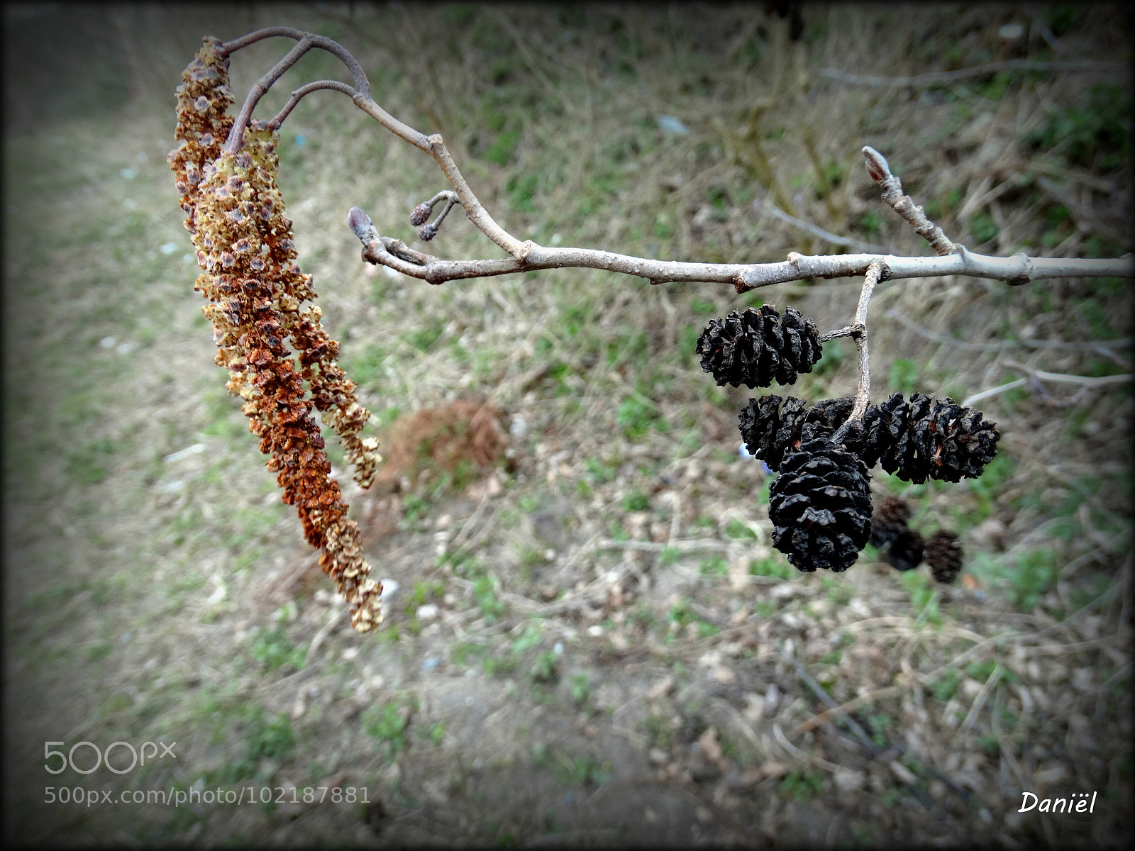 Sony Cyber-shot DSC-HX300 sample photo. Spring ... .. . photography
