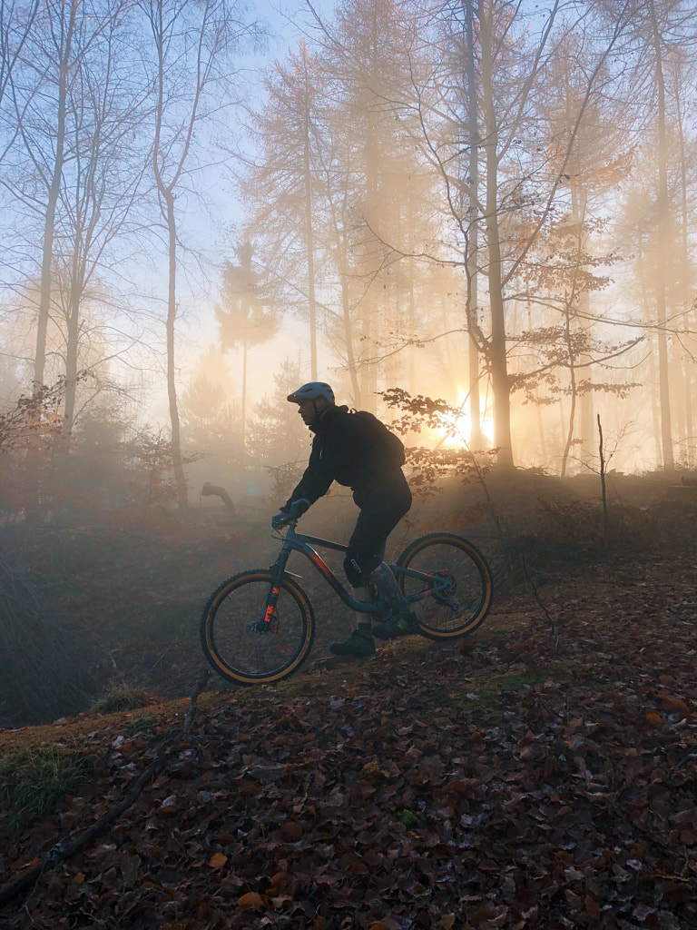 v2?sig=1883ba2b036a25869bb3116df4ca06529