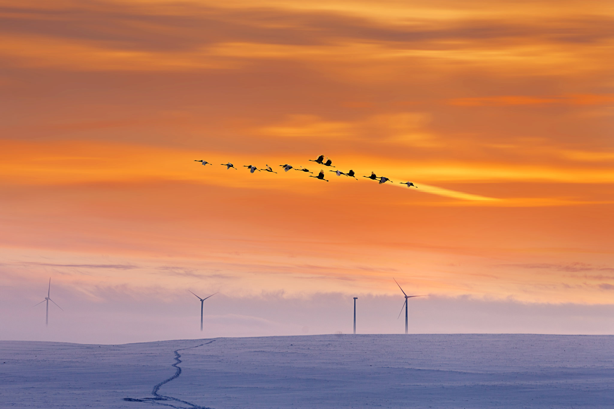 v2?sig=aecd0507bff34bfe506a546f2471721dbcc7ac5aa23f90dee514c5390cd43955