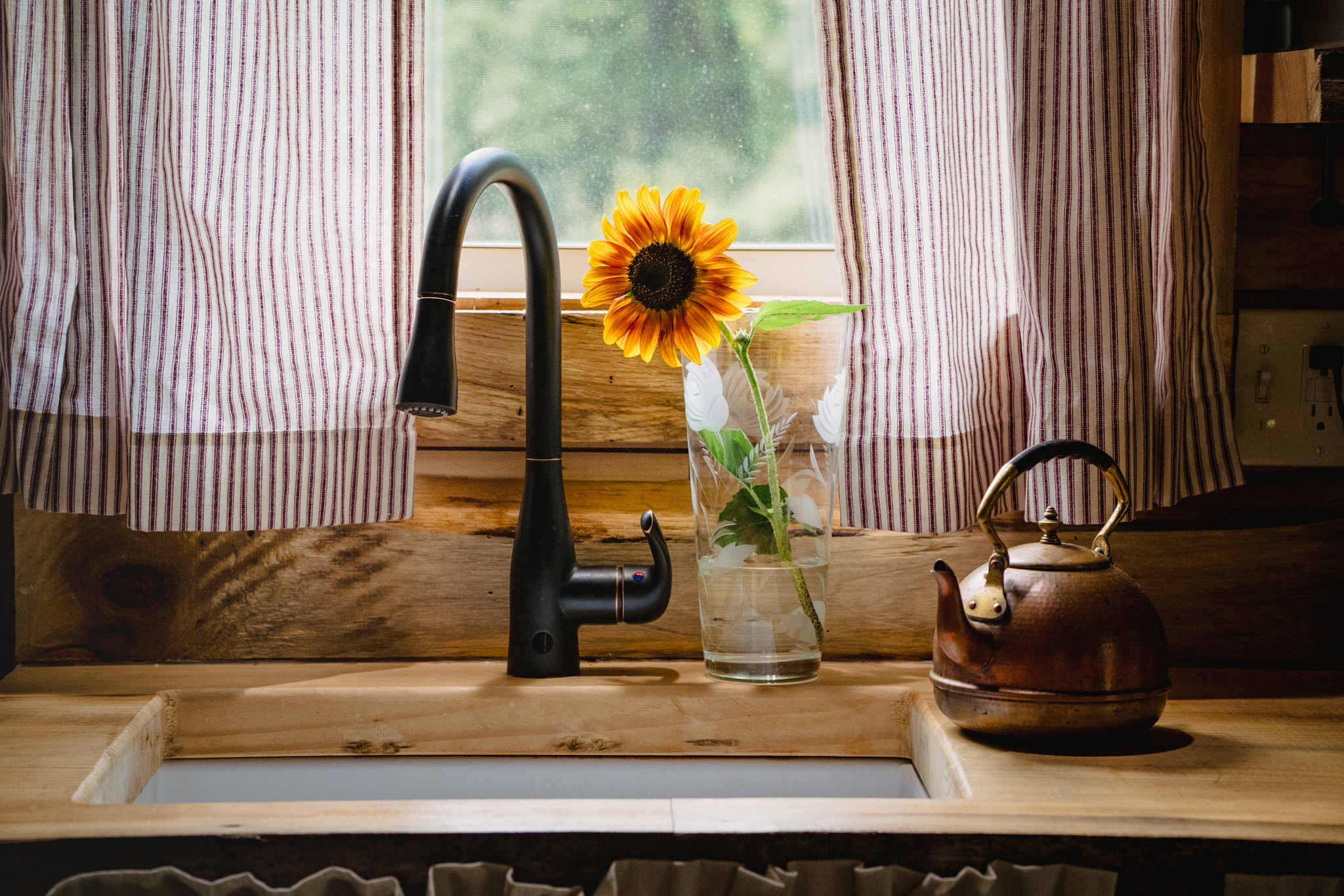 Sunflower in a cabin