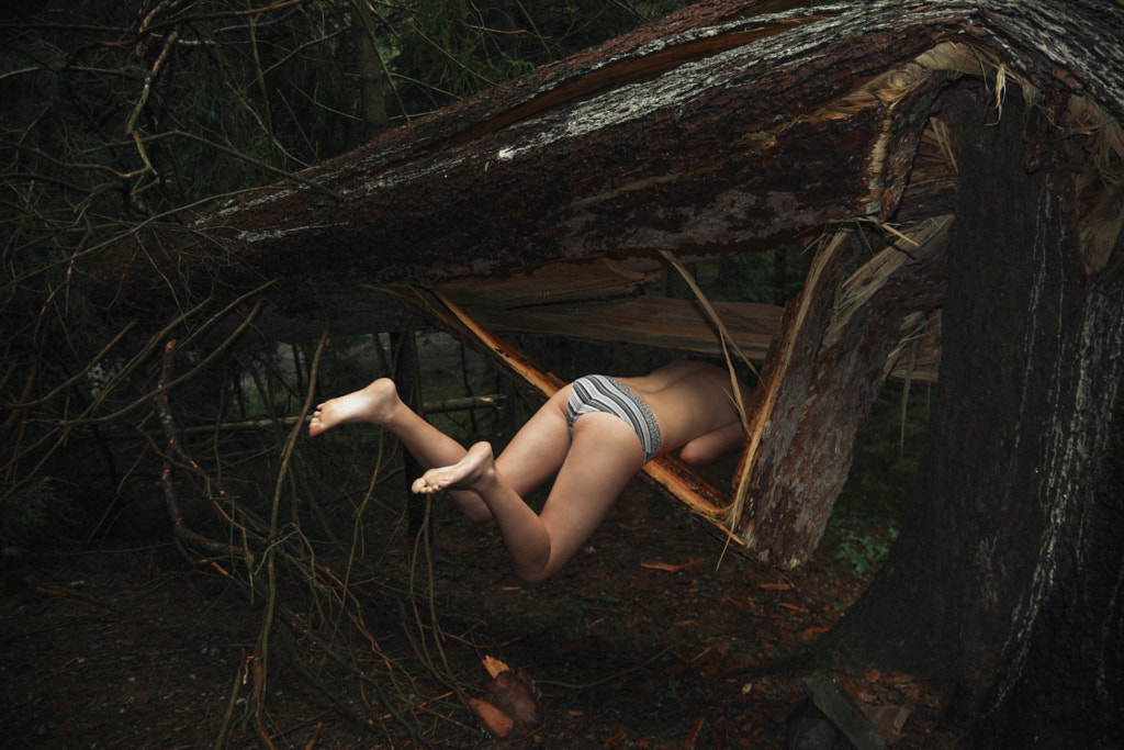 Don’t go There, It’s a Trap by Linas Vaitonis on 500px.com