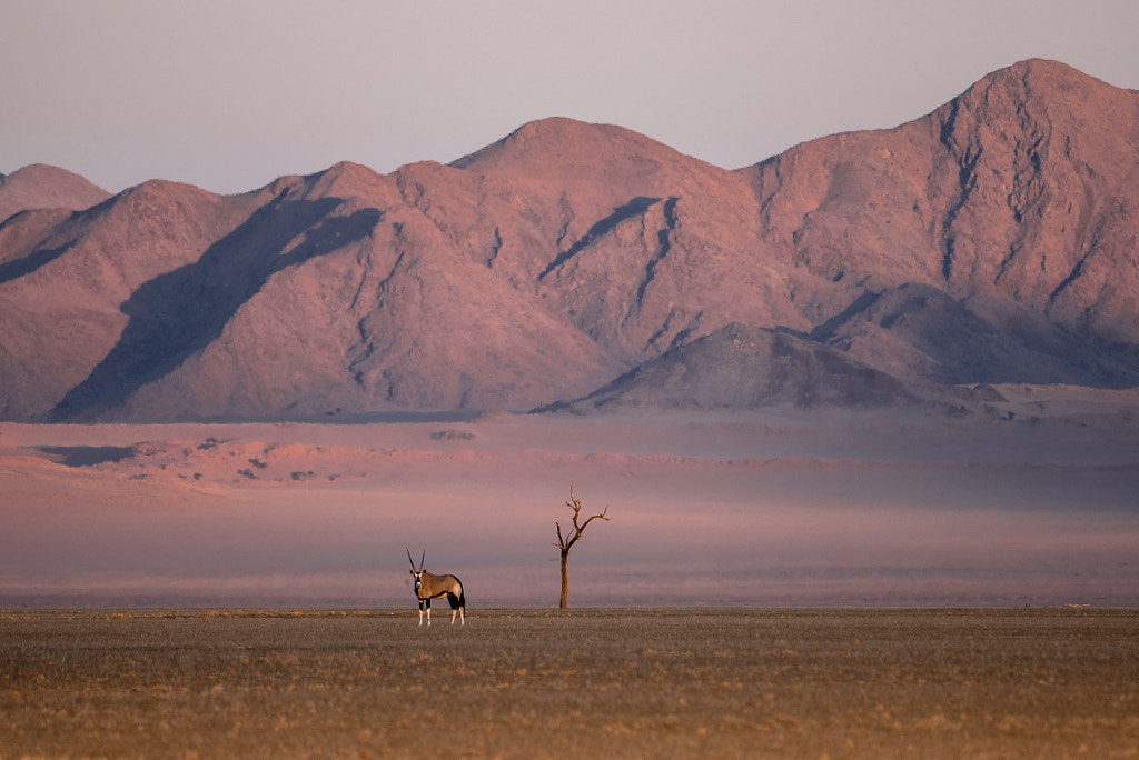 Namibia by Emilie Ristevski on 500px.com