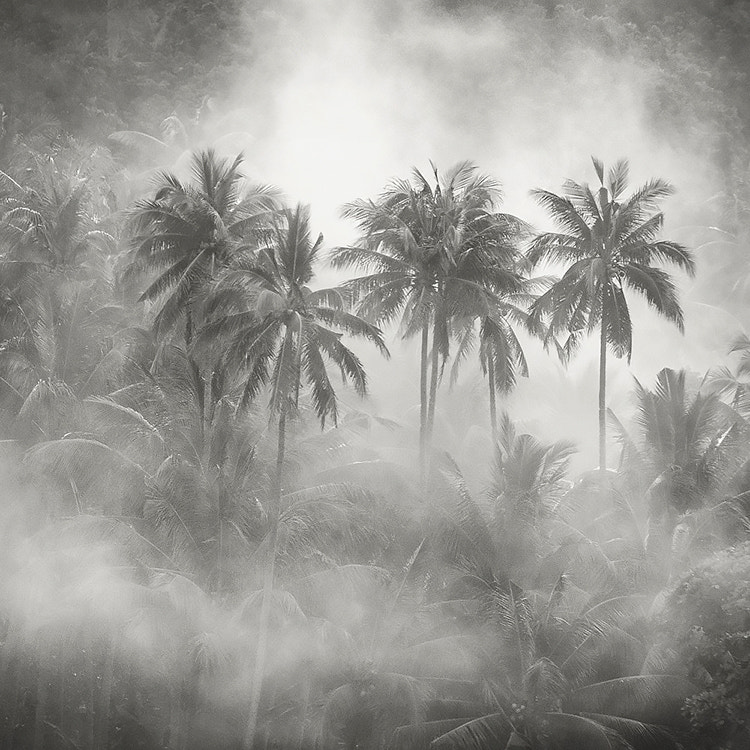 Morning Glory  by Hengki Koentjoro on 500px.com