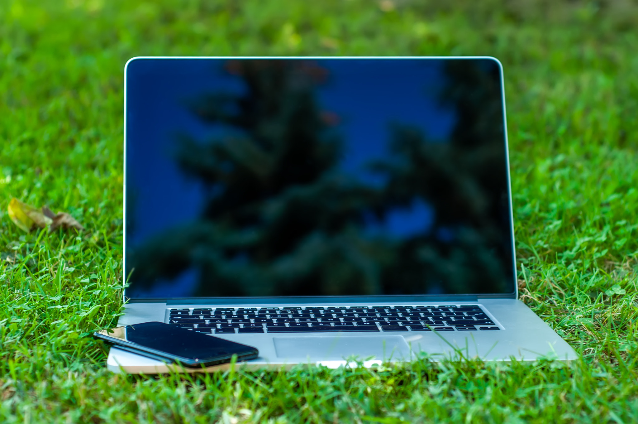 View on a laptop pc and a smartphone on the grass