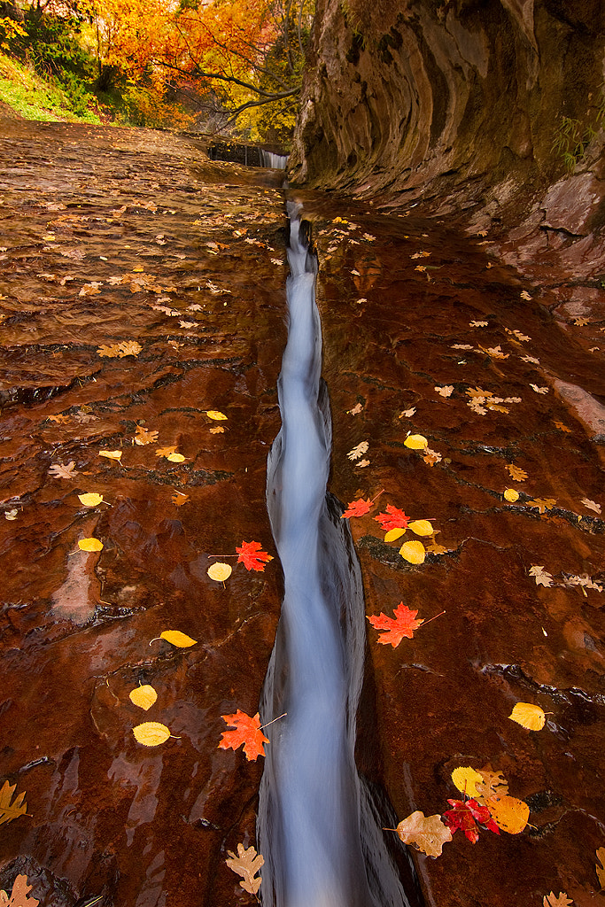 Fall in the Subway, Zion National Park