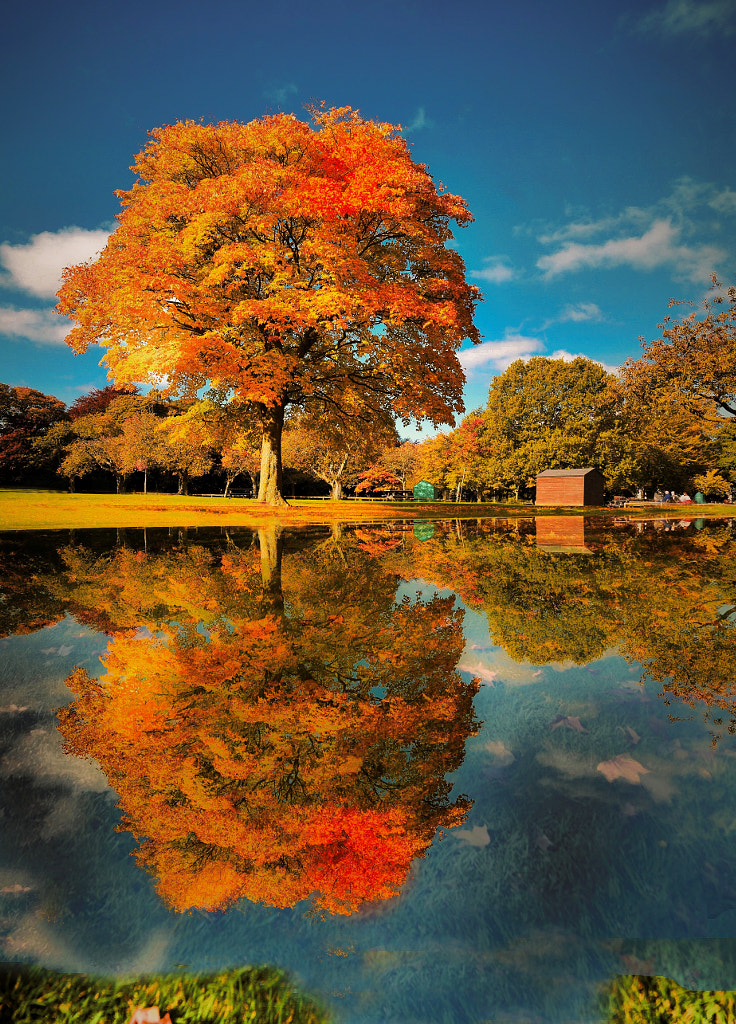 A colorful autumn day by Wojtek  on 500px.com