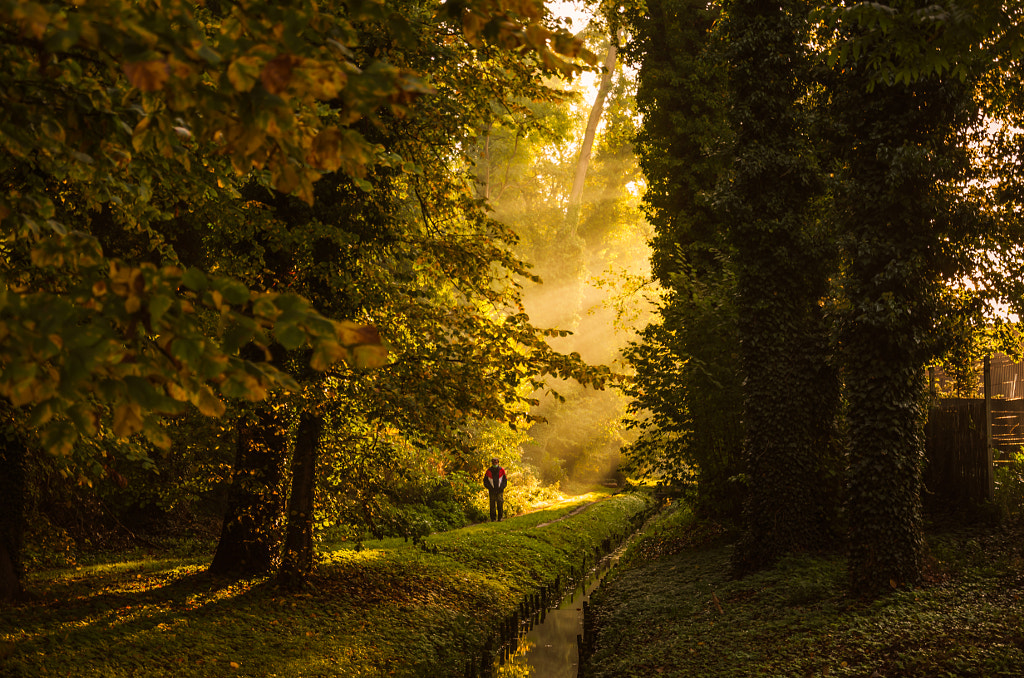 Walk in the park by Nata  on 500px.com