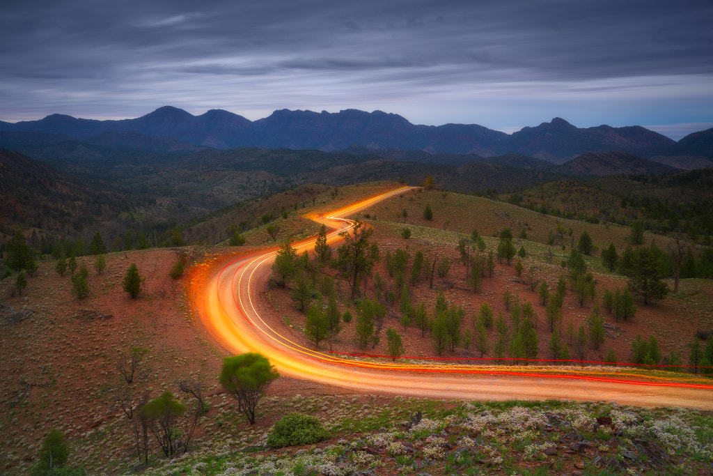 Razorback by Dylan Toh & Marianne Lim on 500px.com