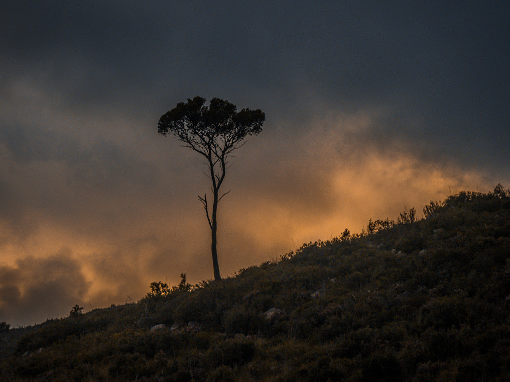 Alone by Javier Pascual on 500px.com