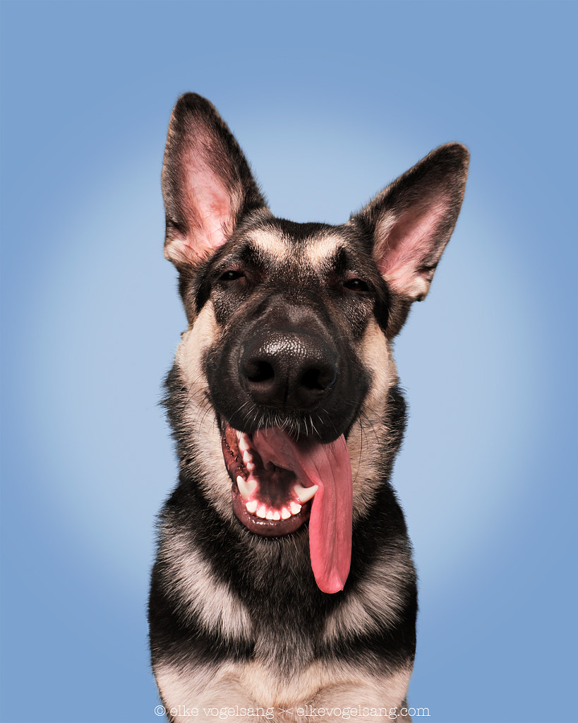 Such happiness by Elke Vogelsang on 500px.com