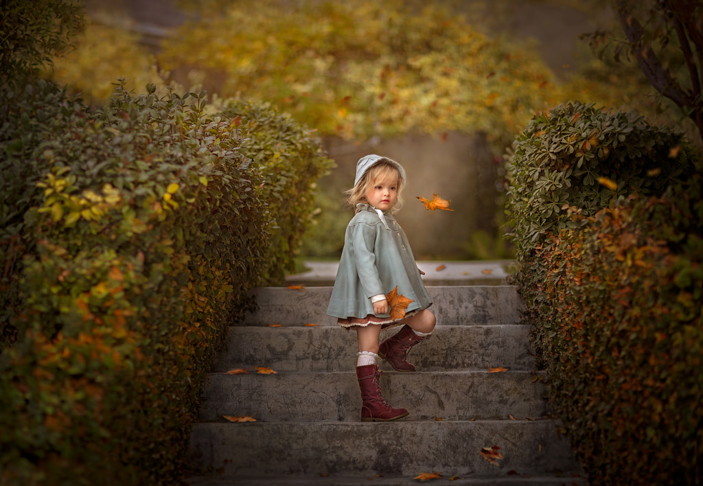 Blue and Gold by Jessica Drossin on 500px.com
