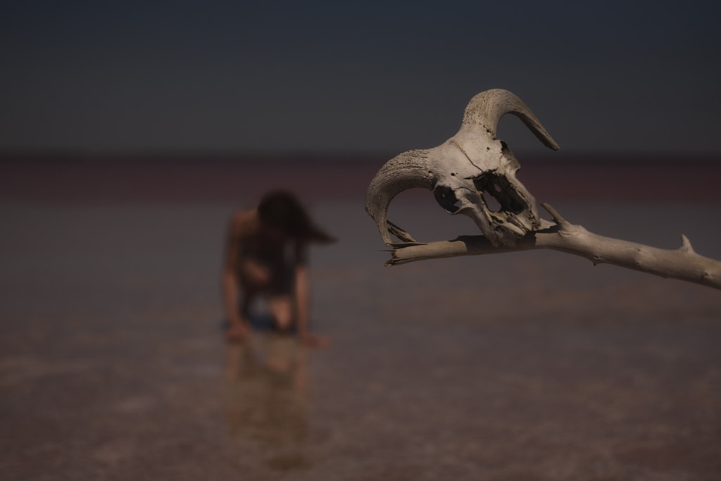 Thirst by Igor Viushkin on 500px.com